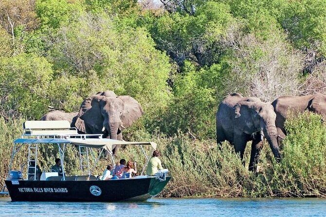 Zambezi River Safari - Frequently Asked Questions (FAQs)