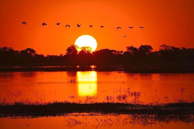 Zambezi River Sunset Cruise - An Honest Look at the Downsides