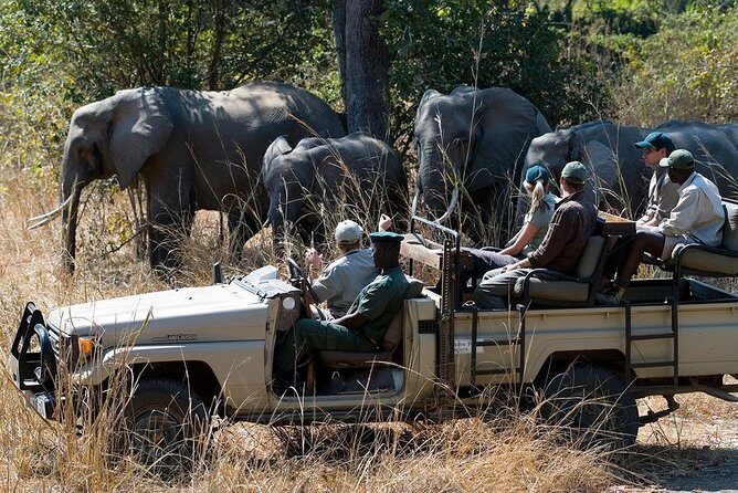 Zambezi Sunset Cruise + Game Drive Safari with hotel Pick Up - Authentic Animal Encounters and Conservation Insights