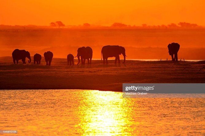 Zambezi Sunset Cruise + Game Drive Safari with hotel Pick Up - Who Will Enjoy This Tour?