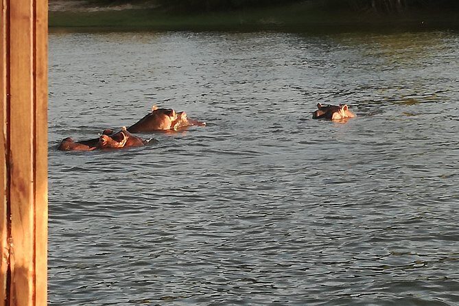 Zambezi Sunset Cruise - Victoria Falls - Frequently Asked Questions