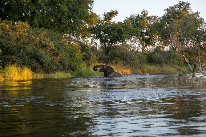 Zambezi Sunset Cruise Wildlife, Drinks & Breathtaking Views - A Closer Look at the Experience