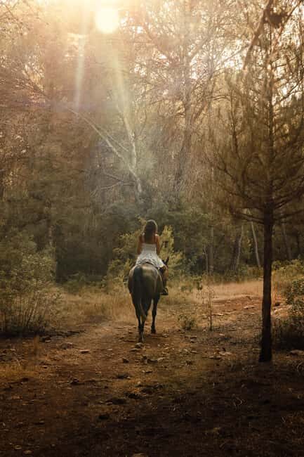 Zambia: Half-Day Horse Riding Safari + Lunch - An In-Depth Look at the Experience