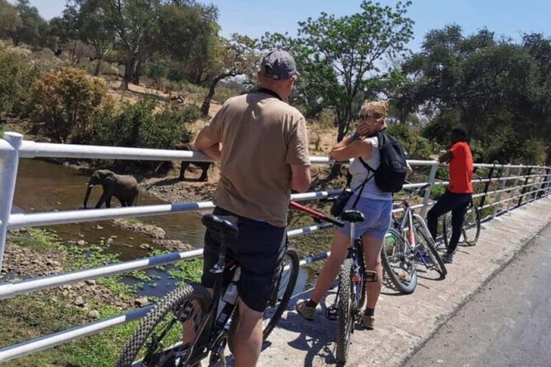 Zambia : Victoria Falls : Nature Bike Tour - Key Points