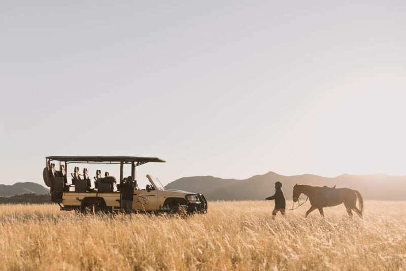 Zannier Game Drive with Hotel Pickup - Key Points