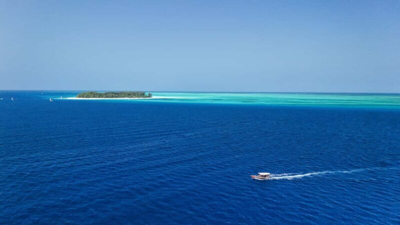 Zanzibar: 1 Day Blue Trip with 2 Stunning Scuba Dives - An In-Depth Look at the Zanzibar Blue Trip