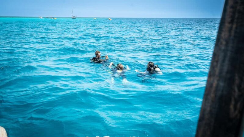 Zanzibar: 1 Day Blue Trip with 2 Stunning Scuba Dives - FAQ