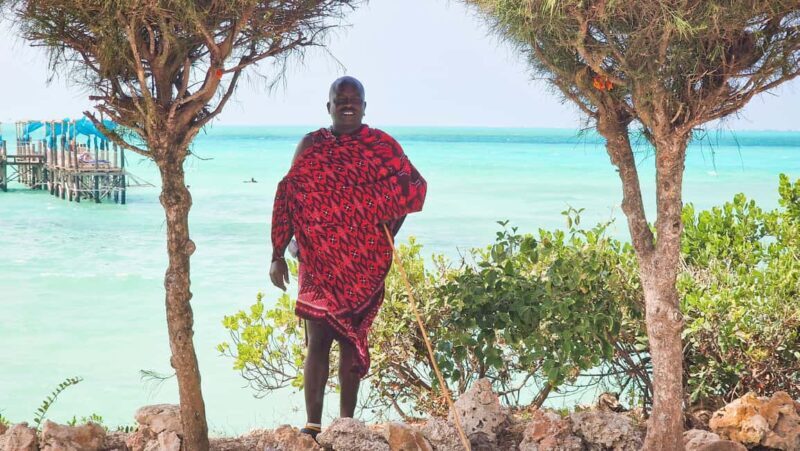 Zanzibar: 1 Day Pass all inclusive island Resort experience - What You Can Expect from the Zanzibar Day Pass Experience