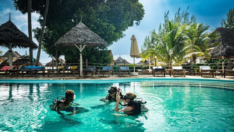 Zanzibar 1 Day Scuba Diving Course for Beginners with Lunch - Whats Included and What to Consider