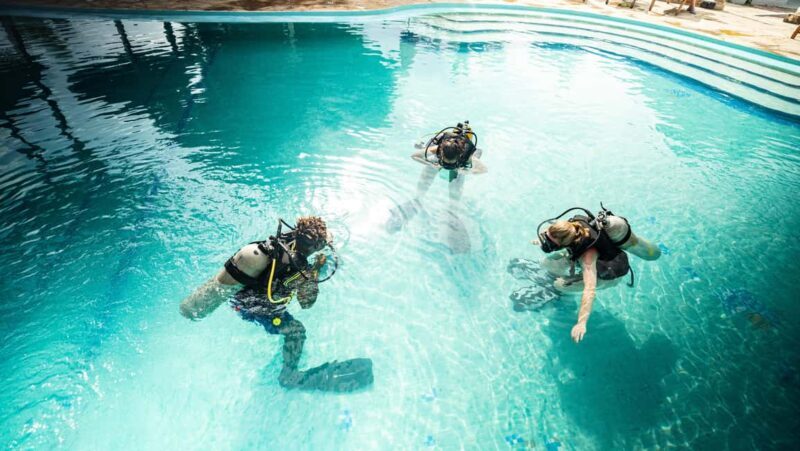 Zanzibar 1 Day Scuba Diving Course for Beginners with Lunch - Practical Details for Your Planning