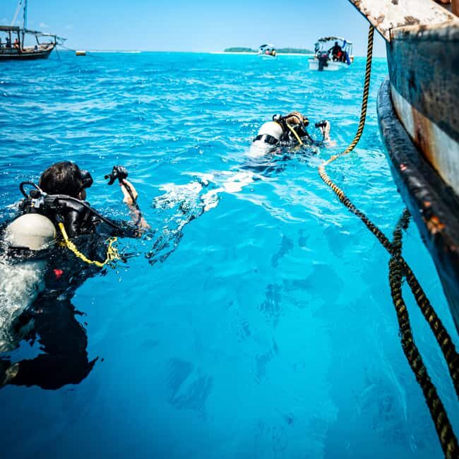Zanzibar: 2-Day PADI Dive Into Paradise on a Scuba Tour - Who Should Consider This Tour