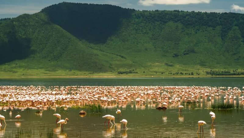 Zanzibar: 2-Day Private Magical Ngorongoro Crater Safari - FAQs