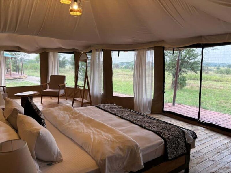 Zanzibar: 3-Day A Quick Fly-in Safari to Serengeti - Key Points