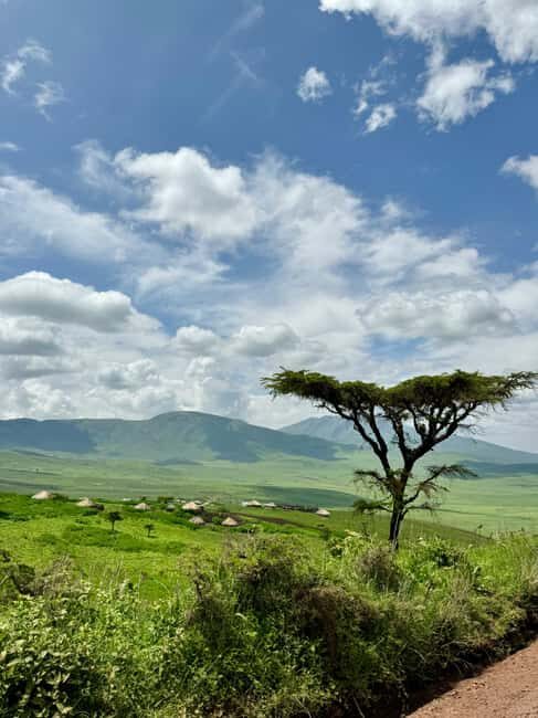 Zanzibar: 3-Day Safari to Tarangire, Ngorongoro, & Arusha - Who Would Enjoy This Safari?