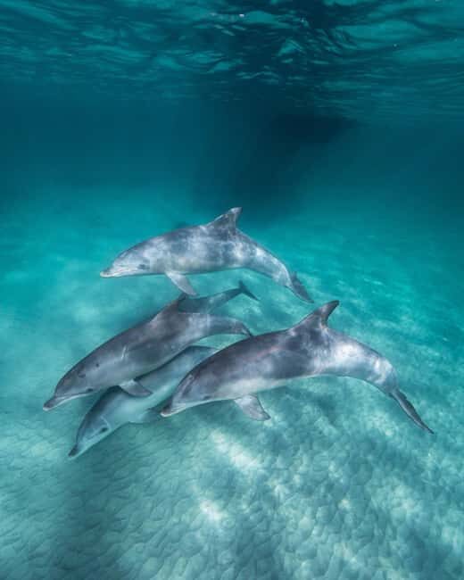 Zanzibar: 3-Day Tour with Snorkeling Adventure with Lunch - Key Points