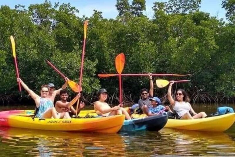 Zanzibar: 3-hour Kayak Tour through the Mangrove Forest - Key Points