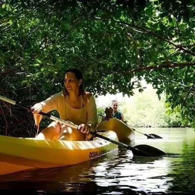 Zanzibar: 3-hour Kayak Tour through the Mangrove Forest - An In-Depth Look at the Kayak Tour Experience