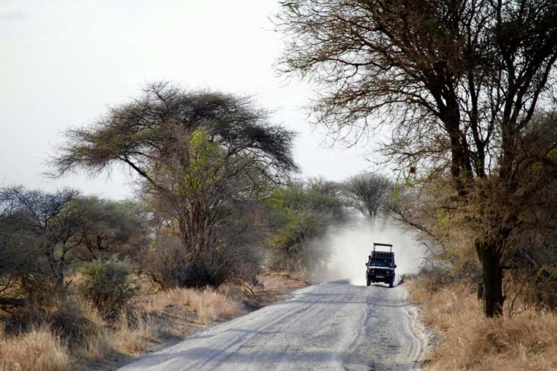 Zanzibar: 4-Day Serengeti & Ngorongoro Fly-In Safari - The Value of This Safari