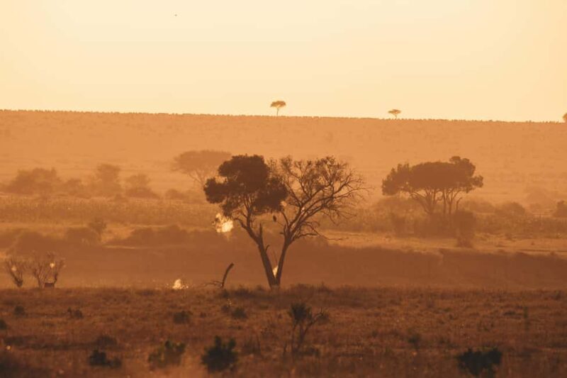 Zanzibar: 4-Day Serengeti & Ngorongoro Fly-In Safari - The Sum Up