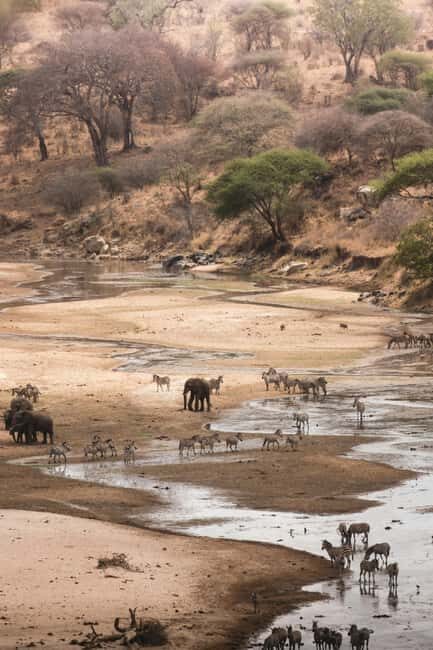 Zanzibar: 4-Day Tarangire, Serengeti & Ngorongoro Safari - Who Should Consider This Tour?