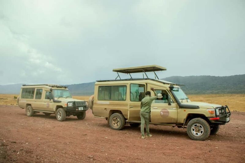 Zanzibar: 5-Day Serengeti and Ngorongoro Safari with Flights - Zanzibar: 5-Day Serengeti and Ngorongoro Safari with Flights – A Practical Review
