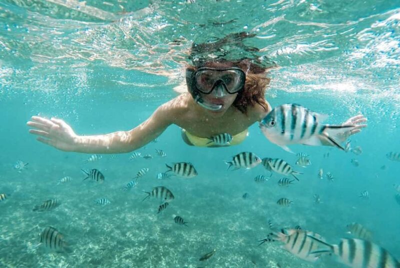 Zanzibar: 5-Days with Dolphin tour and Safari Blue - Exploring the Heart of Zanzibar: Stone Town