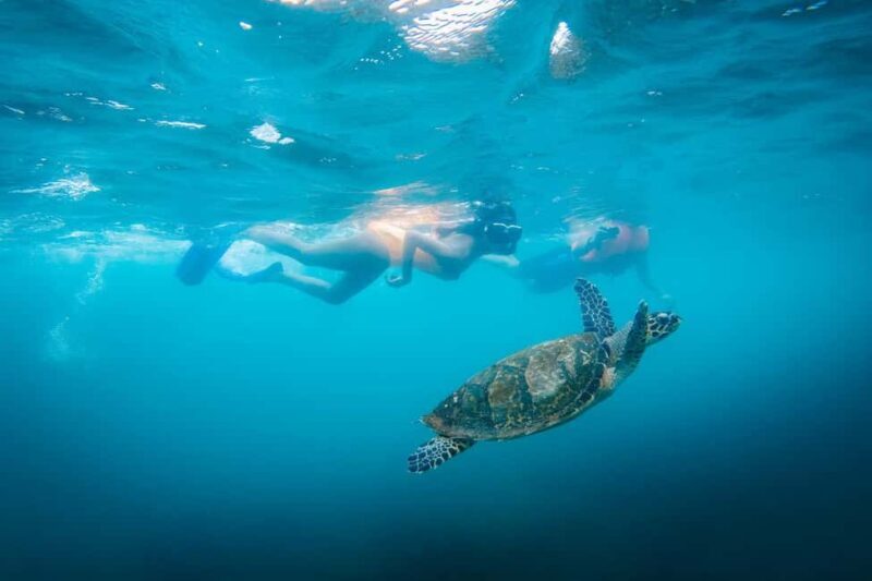Zanzibar 8 Days Beach Tour & Sea all inclusive Safari trip - Key Points