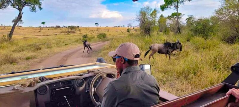 Zanzibar: A Day Trip to Mikumi National Park from Zanzibar - Who Is This Tour Best For?