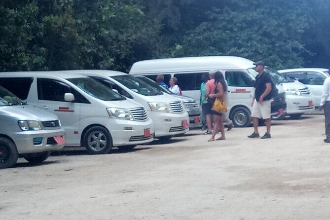 Zanzibar Airport Private Transfer to/from Hotel - Detailed Breakdown of the Transfer Experience