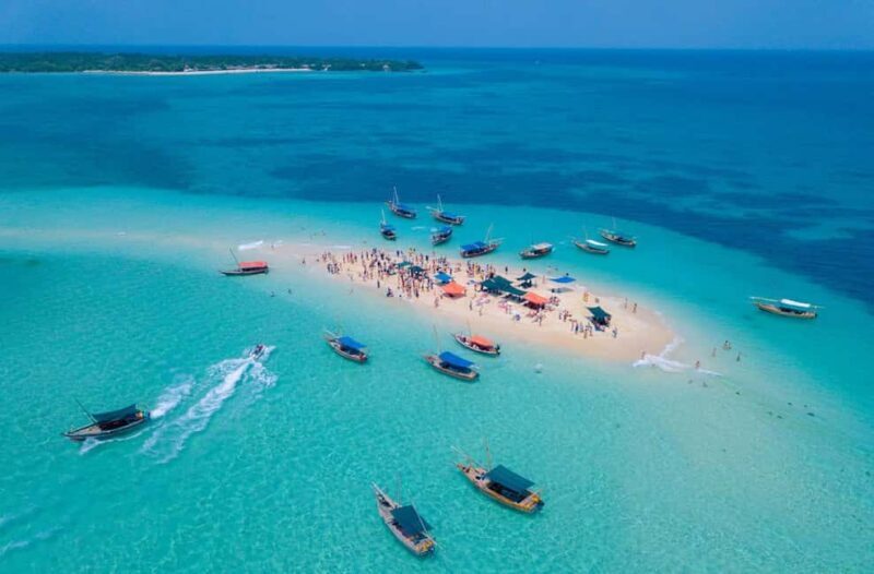 ZANZIBAR: Amazing Full day Private Blue safai with BBQ lunch - The Sum Up