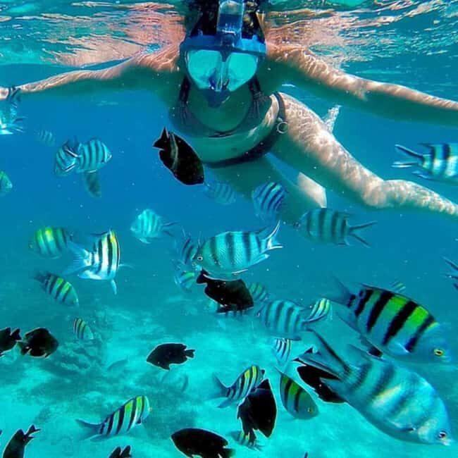 ZANZIBAR: Amazing natural lagoon and Starfish tour - Key Points