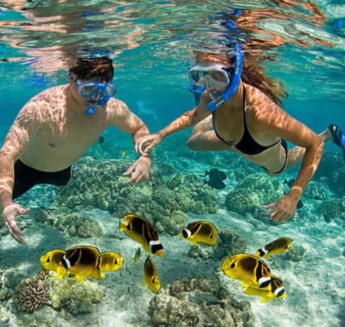 ZANZIBAR: Amazing natural lagoon and Starfish tour - An Honest Breakdown of the Zanzibar Lagoon and Starfish Tour