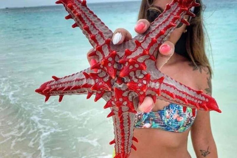ZANZIBAR: Amazing natural lagoon and Starfish tour - Frequently Asked Questions
