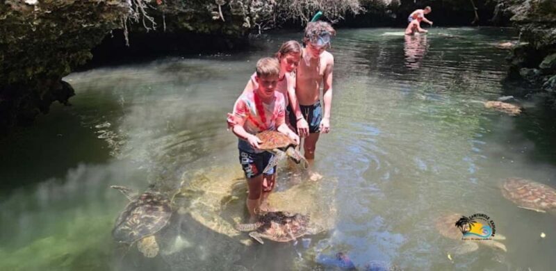 Zanzibar: Baraka Aquarium Feed, Swim & Snorkel with Turtles - Key Points