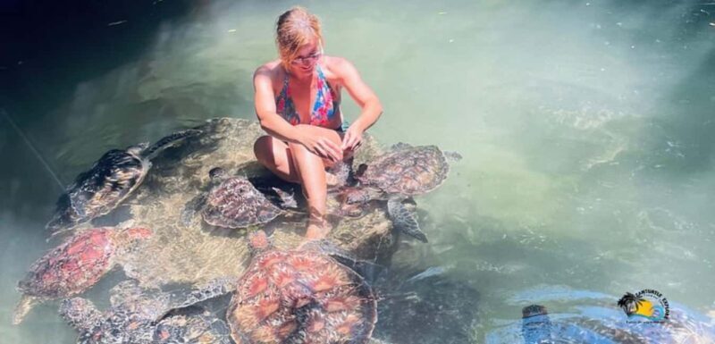 Zanzibar: Baraka Aquarium Feed, Swim & Snorkel with Turtles - An In-depth Look at the Experience