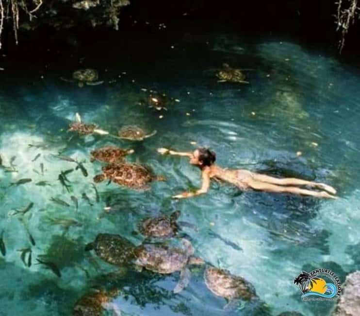 Zanzibar: Baraka Aquarium Feed, Swim & Snorkel with Turtles - Final Thoughts: Who Should Consider This Tour?