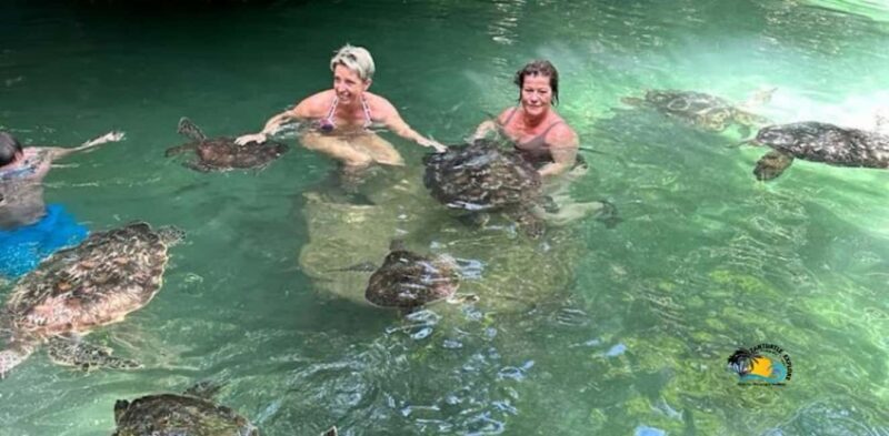 Zanzibar: Baraka Aquarium Feed, Swim & Snorkel with Turtles - Frequently Asked Questions
