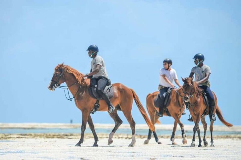 Zanzibar: Beach Horseback Ride and Swim with the Horse - Key Points
