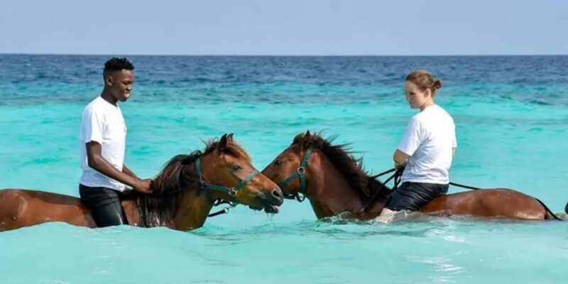 Zanzibar: Beach Horseback Ride and Swim with the Horse - A Gentle, Scenic Ride on Zanzibar’s Coast