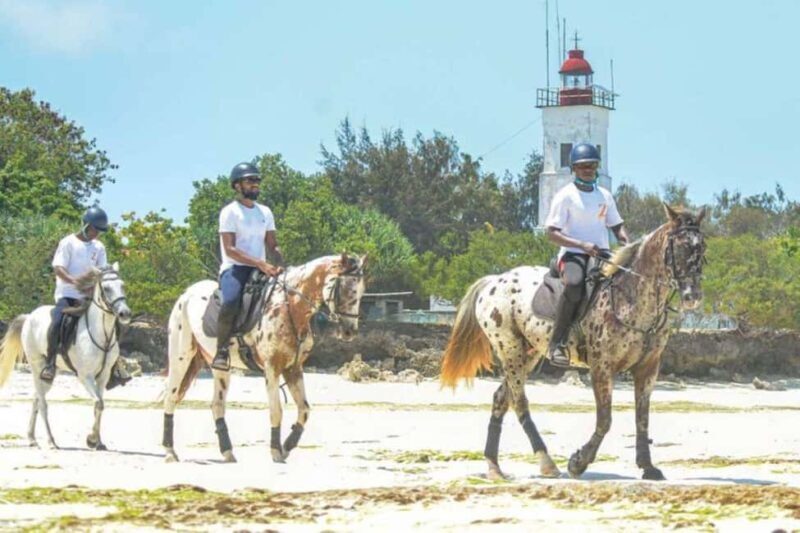 Zanzibar: Beach Horseback Ride and Swim with the Horse - Authenticity and Care for the Horses