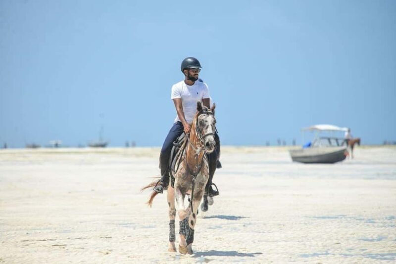 Zanzibar: Beach Horseback Ride and Swim with the Horse - Value and Pricing