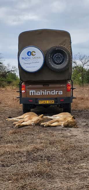 Zanzibar: Best Selous Day Safari with Flights & Lunch - Zanzibar: Best Selous Day Safari with Flights & Lunch — A Practical Review