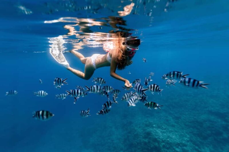 Zanzibar: Blue Lagoon Snorkeling & Starfish Experience - Authentic Experiences in Zanzibar: What Travelers Say