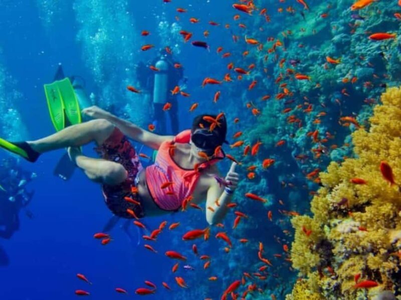 Zanzibar: Blue Lagoon Snorkeling With Starfish Tour - What’s Included and What’s Not