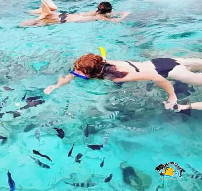 Zanzibar: Blue Lagoon, Starfish and Jozani Forest Tour - Who Will Love This Tour?