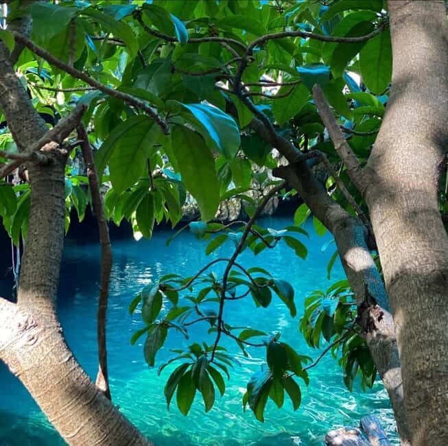 Zanzibar: Blue lagoon, Starfish, Paje Beach and Maalum Cave - An Introduction to the Tour Experience