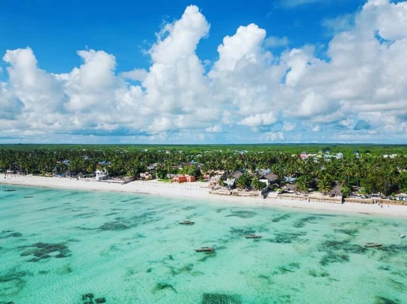 Zanzibar: Blue lagoon, Starfish, Paje Beach and Maalum Cave - Detailed Breakdown of the Tour Components