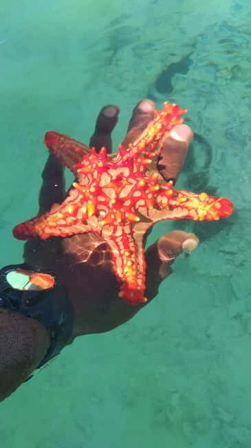 Zanzibar: Blue lagoon & Starfish - Key Points