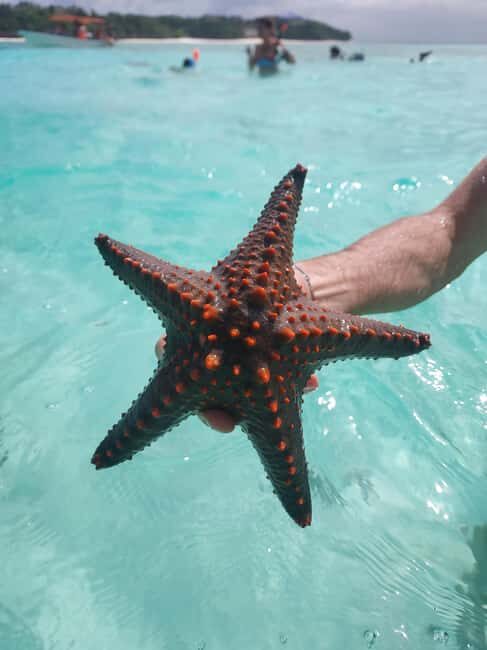 Zanzibar: Blue lagoon & Starfish - Practical Tips for Your Trip