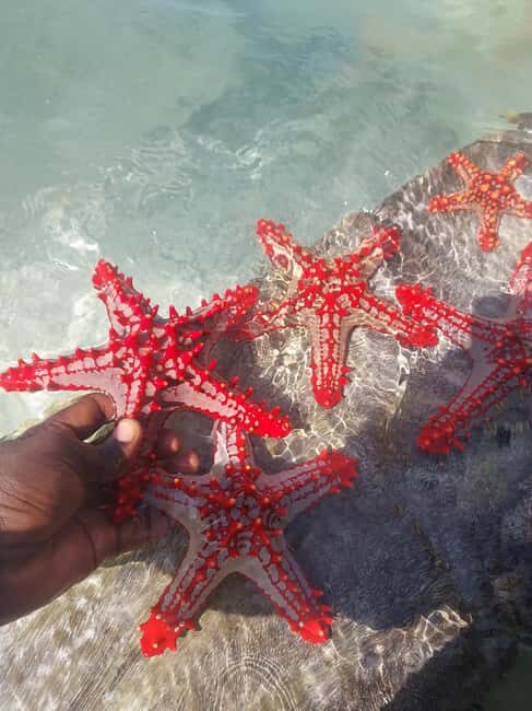 Zanzibar: Blue lagoon & Starfish - Who Should Consider This Tour?